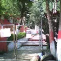 Valentin Gomez Farias