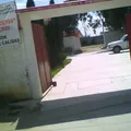 Leandro Valle
