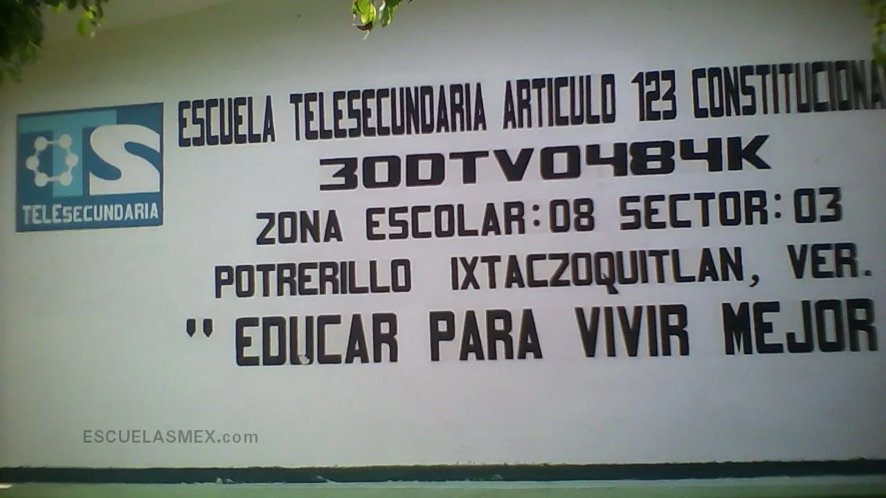 Articulo 123 Constitucional Entrada