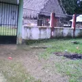 Jose Juan Tablada