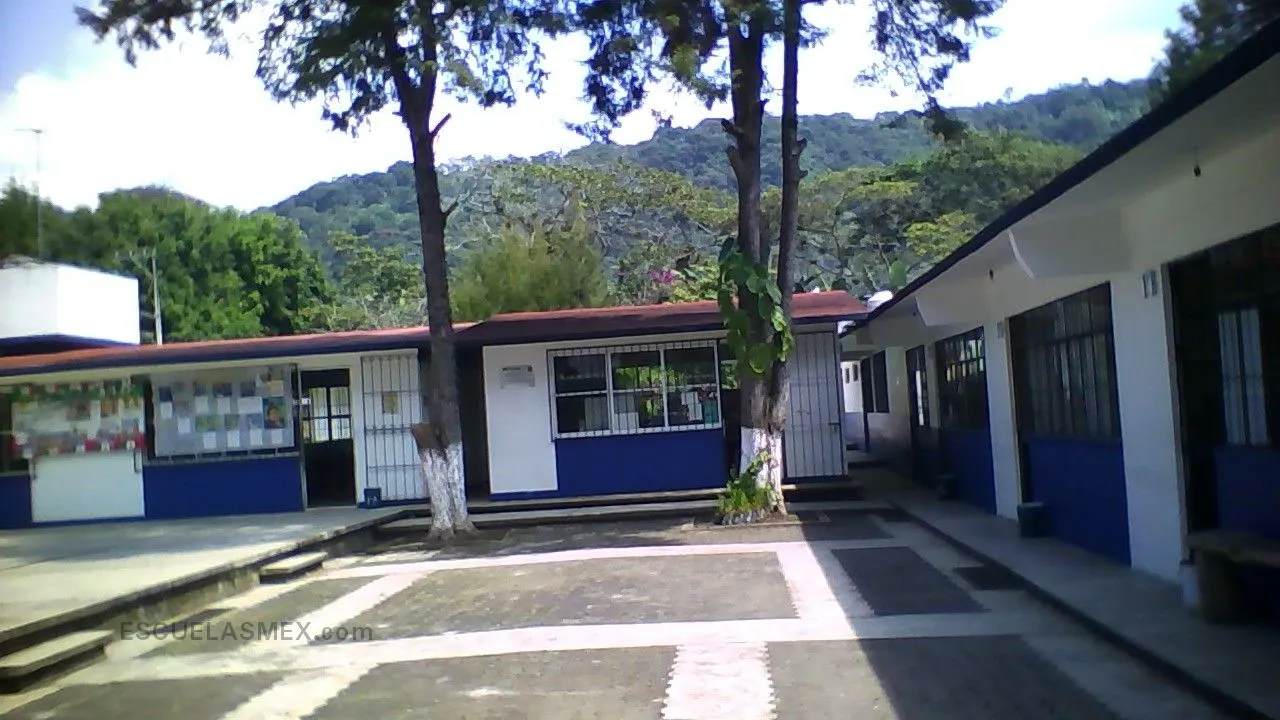 Alfonso Arroyo Flores Entrada