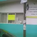 Carolino Anaya