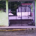 Josefa Dominguez Viadana