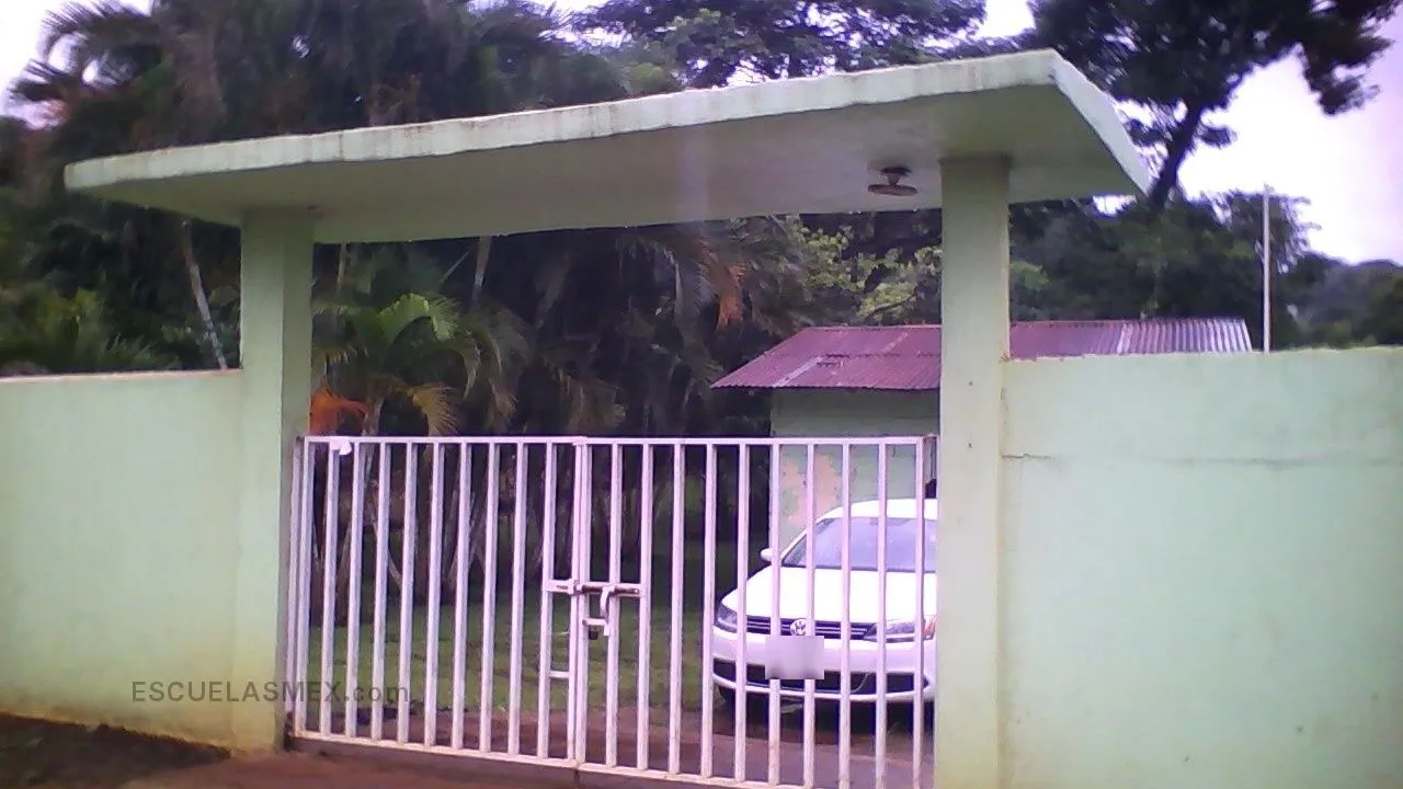 Alfonso Reyes Entrada