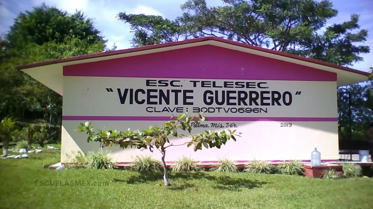 Vicente Guerrero Entrada