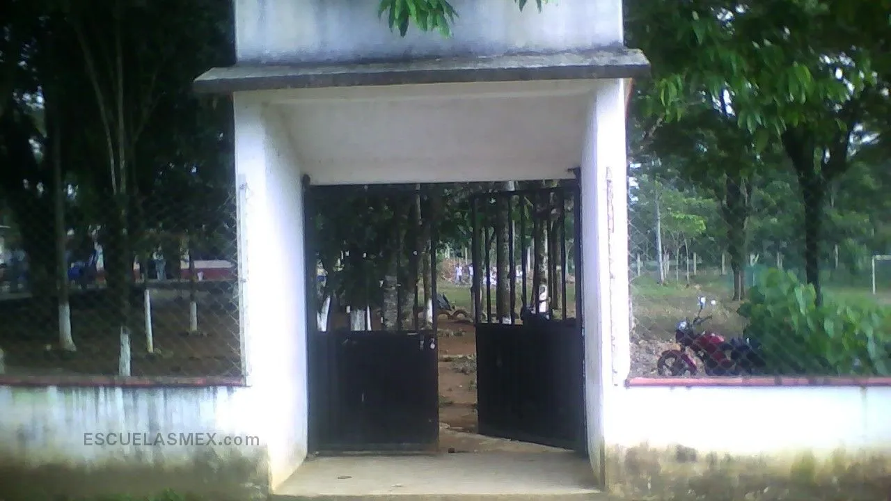 Gustavo Diaz Ordaz Entrada