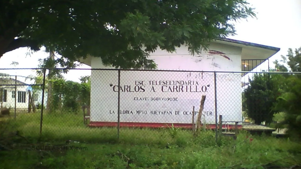 Carlos A. Carrillo Entrada