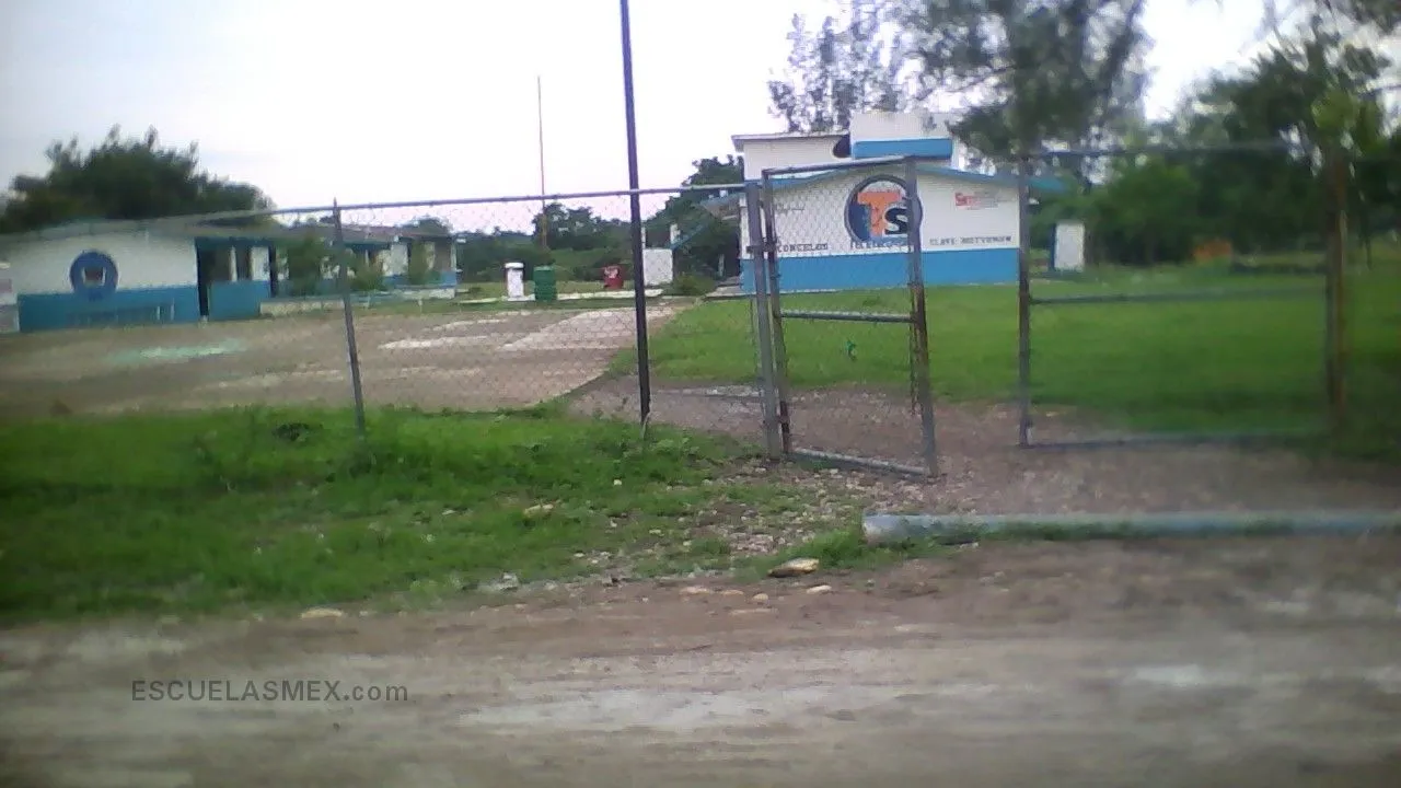 Jose Vasconcelos Entrada