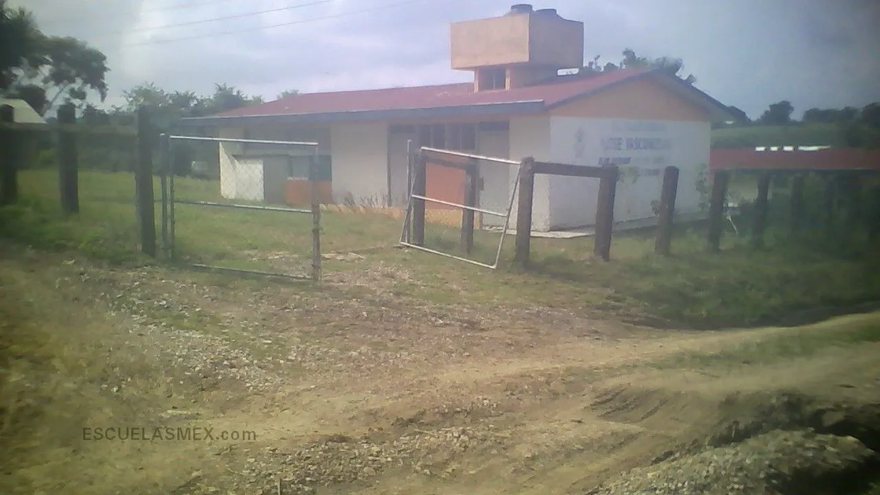 Jose Vasconcelos Entrada