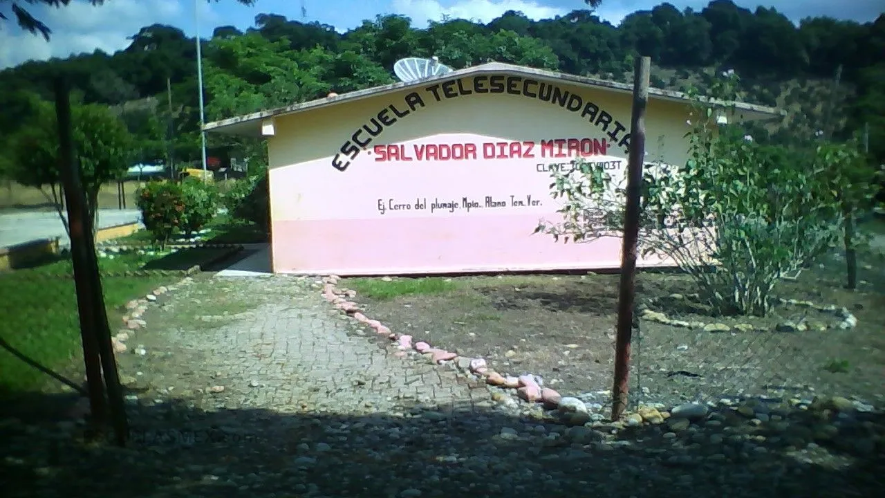 Salvador Diaz Miron Entrada