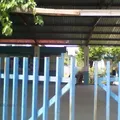 Luis Donaldo Colosio Murrieta