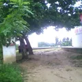 Serafin Olarte