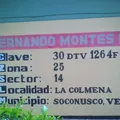 Fernando Montes de Oca
