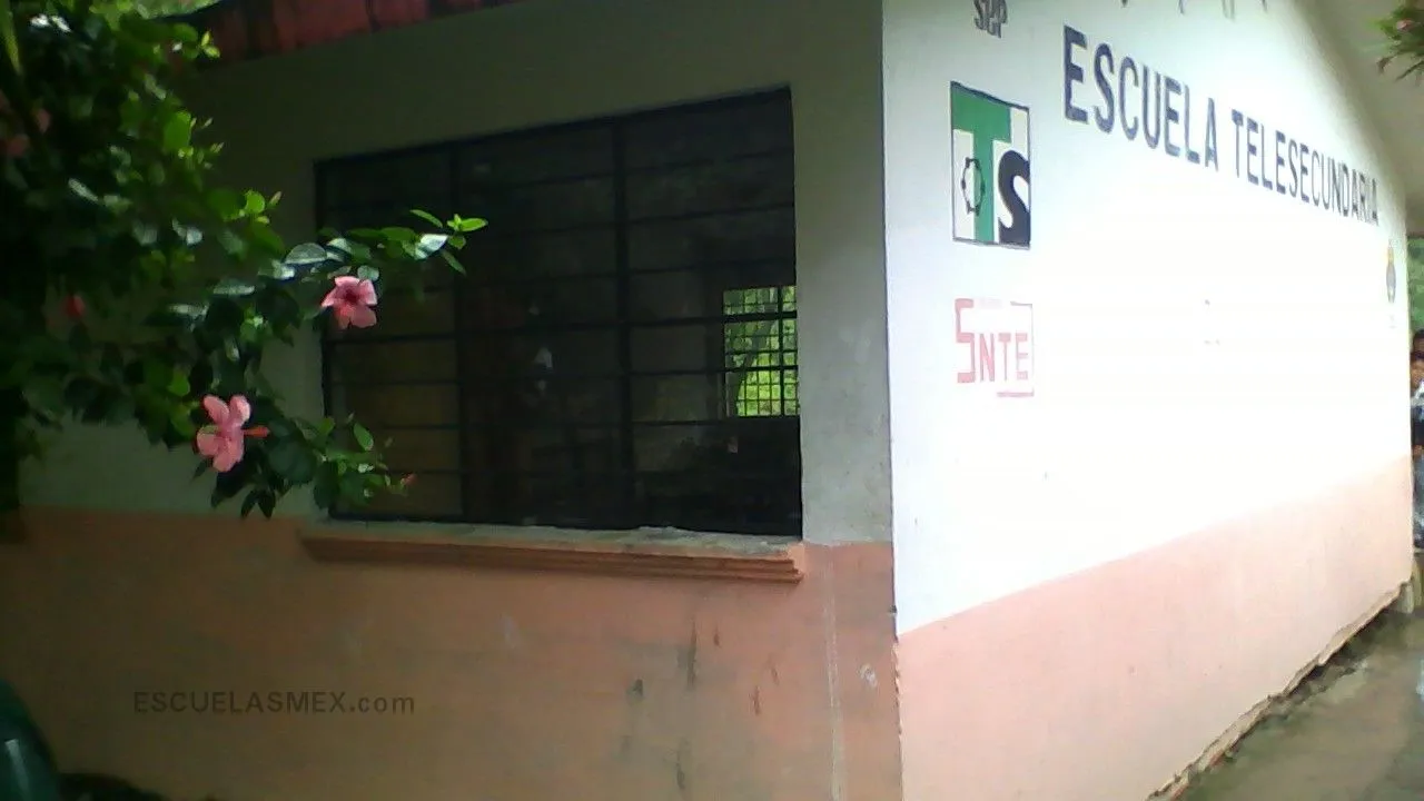Telesecundaria Entrada