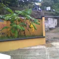 Telesecundaria