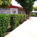 Maria Enriqueta Camarillo y Roa