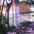 Miguel Aleman Valdes
