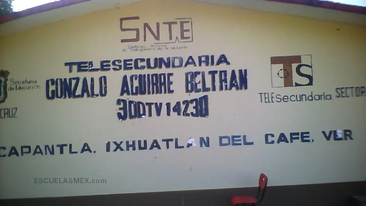 Gonzalo Aguirre Beltran Entrada