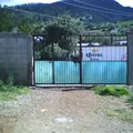 Luis Donaldo Colosio Murrieta