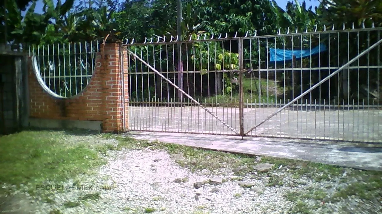 Francisco del Paso y Troncoso Entrada