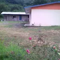 Zeferino Francisco Hernandez