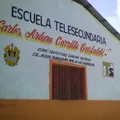 Carlos Arturo Carrillo Gastaldi