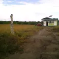 Salvador Diaz Miron