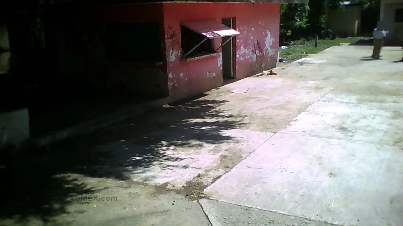 Venustiano Carranza Garza Entrada