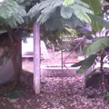 Escuela Primaria