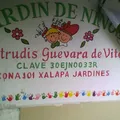 Gertrudis Guevara de Vite