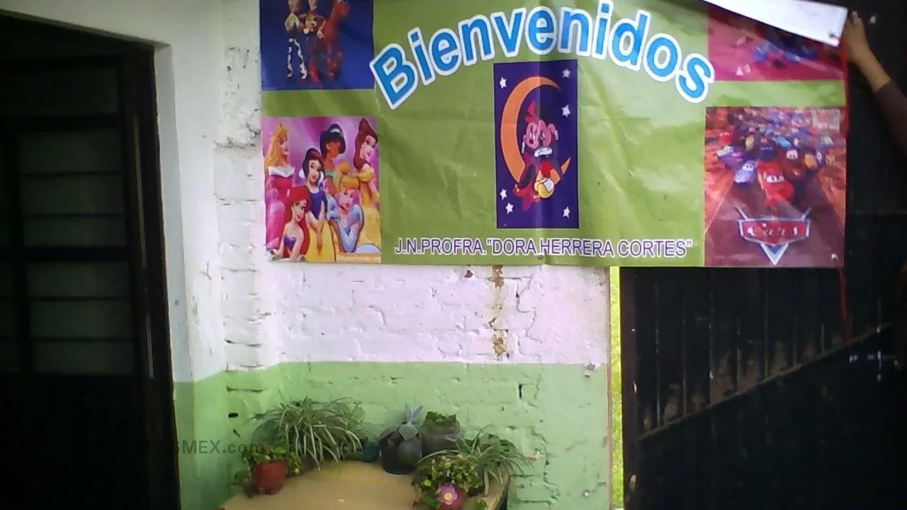 Profra. Dora Herrera Cortes Entrada