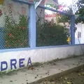 Andrea Mendez Bustos