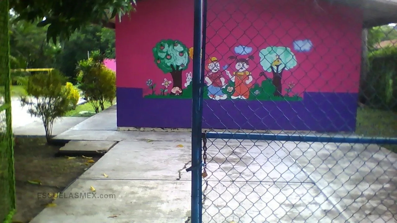 Rosaura Zapata Entrada