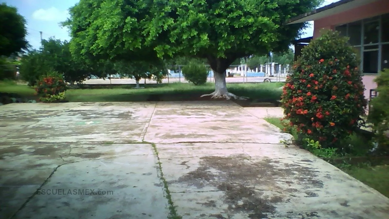 Jaime Torres Bodet Entrada