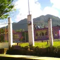 Guadalupe Herrera Gonzalez