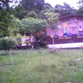 Justo Sierra