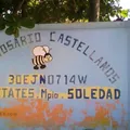 Rosario Castellanos