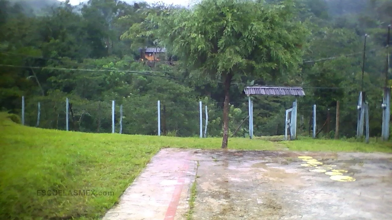 Rosario Castellanos Entrada
