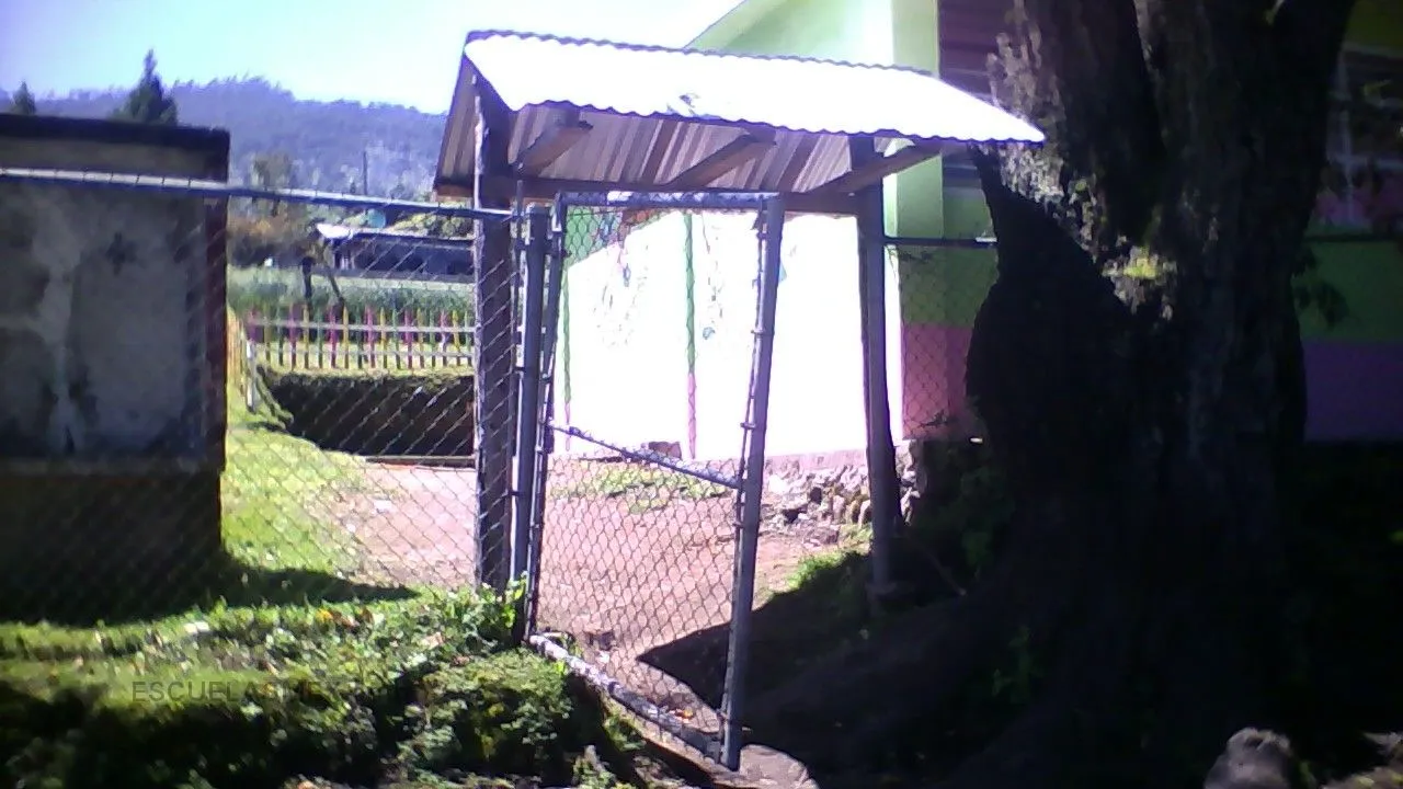 Luz Maria Serradell Entrada