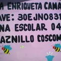 Maria Enriqueta Camarillo