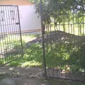 Luz Maria Serradel