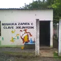 Rosaura Zapata Cano