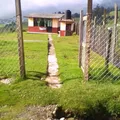 Guadalupe Alvarez Naveda