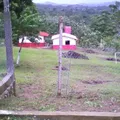 Juan Amos Comenio
