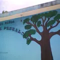 Juan Enrique Pestalozzi