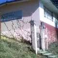 Cam Conecalli