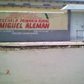 Miguel Aleman
