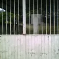 Revolucion Mexicana