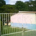 Guadalupe Victoria