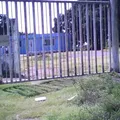 Lic. Benito Juarez Garcia